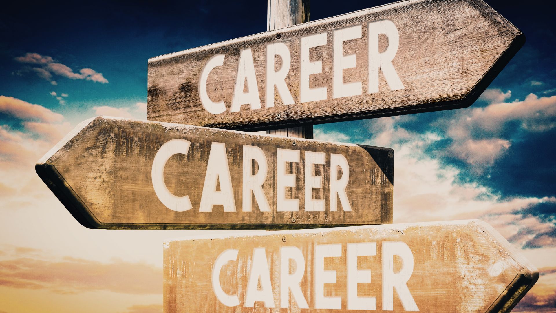 formation avec suivi individuel sur 6 mois